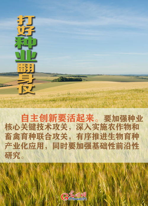 圖說 打好種業翻身仗,看農業農村部怎么說