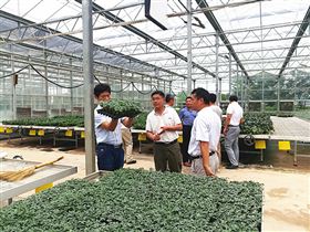【山東】博盛種業來到安信種苗,促進友好合作