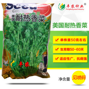 蔬菜香菜種子市場(chǎng)洞察 價(jià)格、供應(yīng)商與種植前景